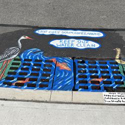 Hope Flynn (Abbotsbury Dr) - Keep Our Water Clean